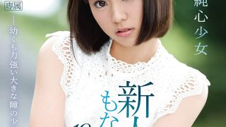 Suzu Monami