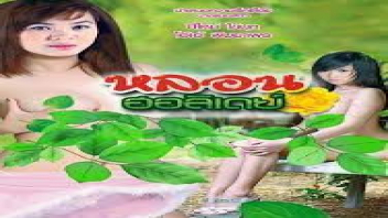 เสียวหี เสียงไทย เรทอาร์ไทย เย็ดน้ำแตก เย็ดกระจาย เด้าหี หีแน่น